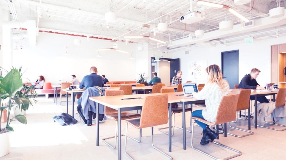 Cours interactif de SEO local